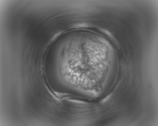 X0000066541225200603241402