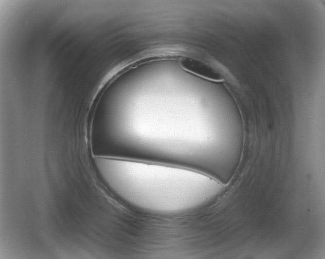 X0000066541226200603241402