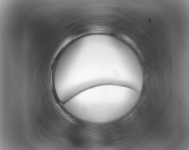 X0000066541227200603241402