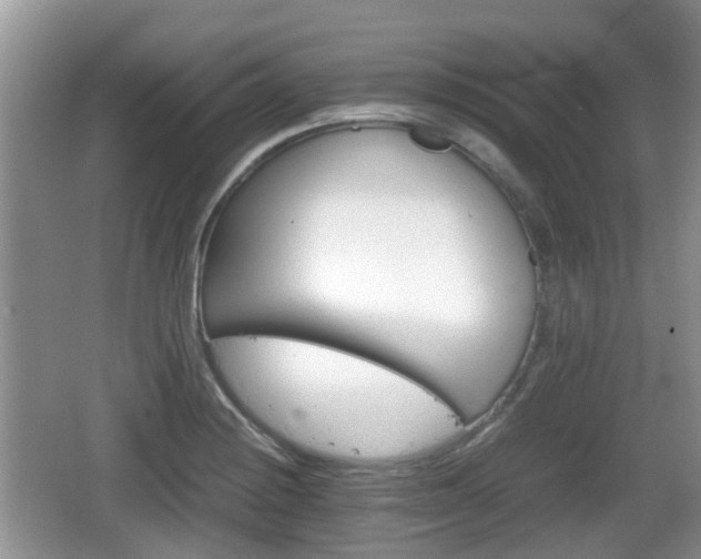 X0000066541228200603241403