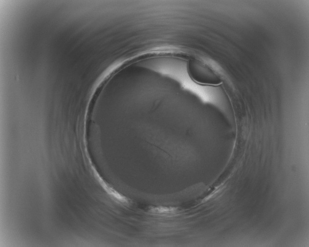 X0000066541229200603241403