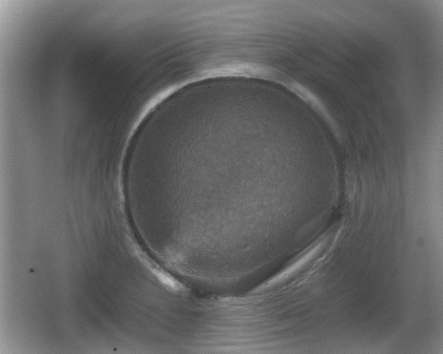 X0000066541230200603241403