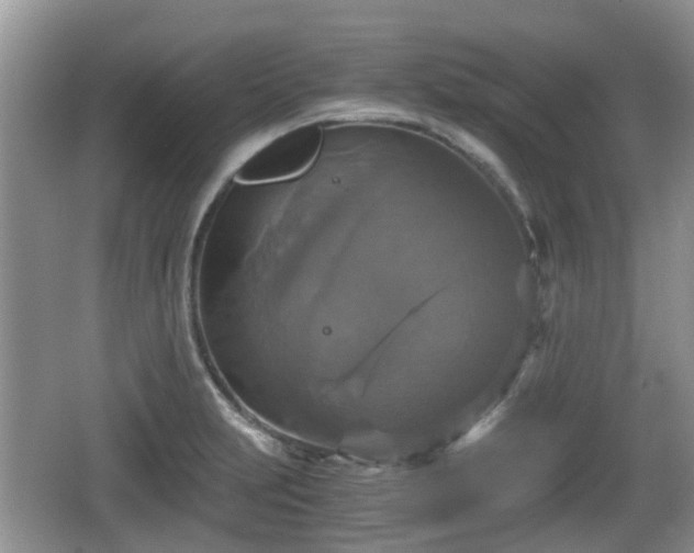 X0000066541231200603241403