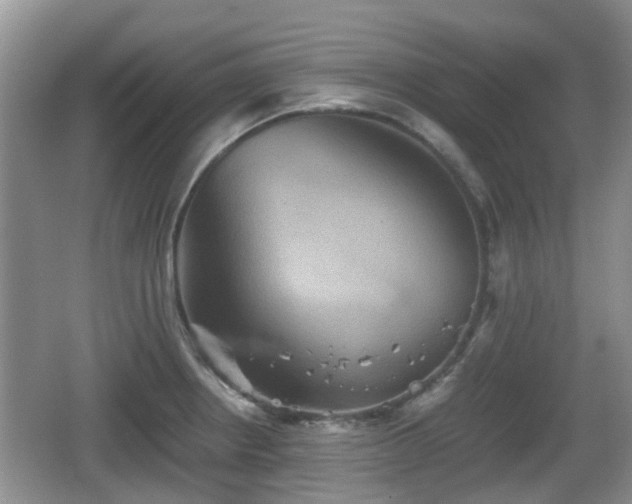 X0000066541234200603241403