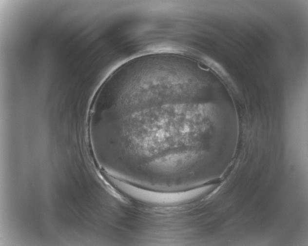 X0000066541236200603241403