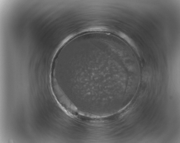 X0000066541237200603241403