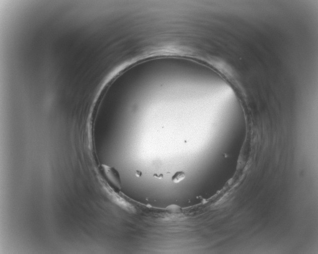 X0000066541238200603241403