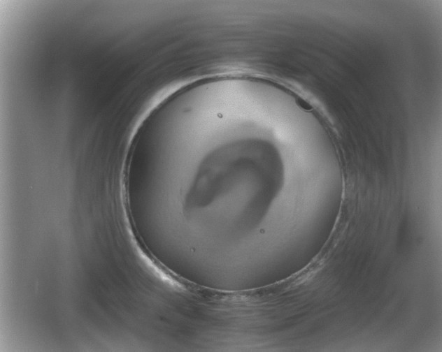 X0000066541239200603241403