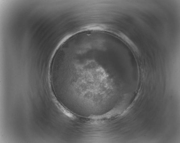 X0000066541240200603241403