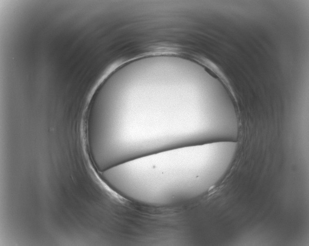 X0000066541243200603241403