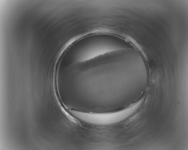 X0000066541245200603241403