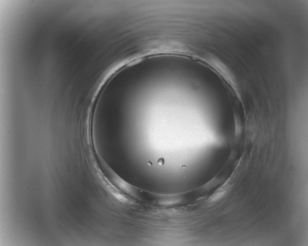 X0000066541246200603241403