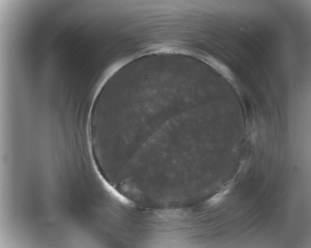 X0000066541247200603241403