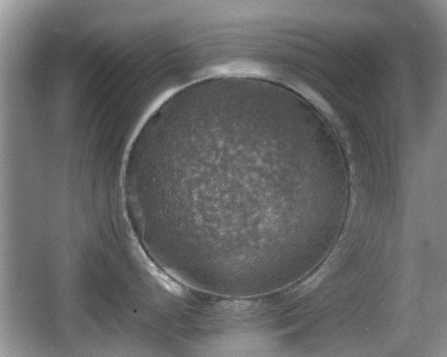 X0000066541248200603241403