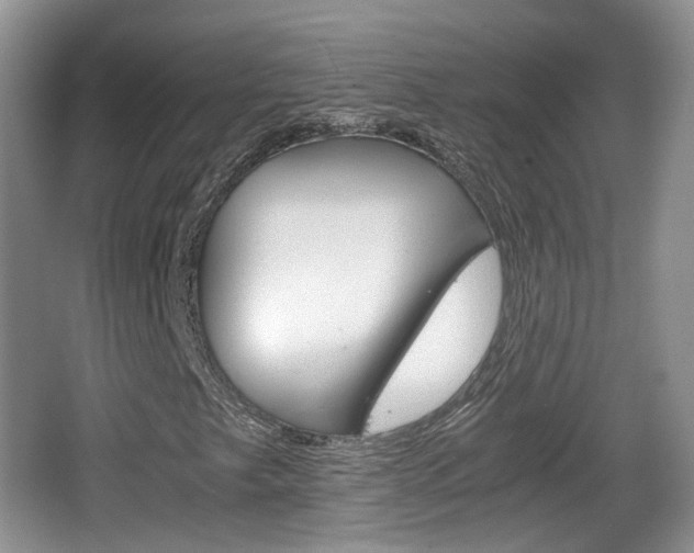 X0000066541249200603241402