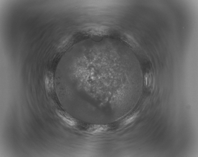 X0000066541251200603241402