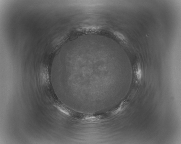 X0000066541252200603241402