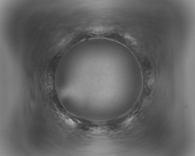 X0000066541253200603241402