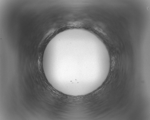 X0000066541254200603241402