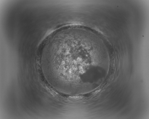 X0000066541255200603241402