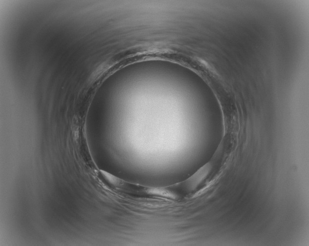 X0000066541257200603241402