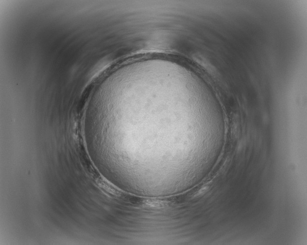 X0000066541258200603241402