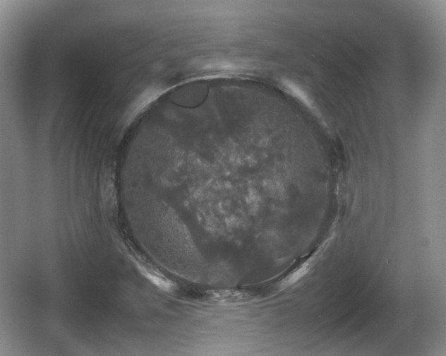 X0000066541259200603241402