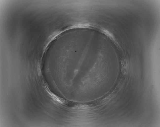 X0000066541260200603241402