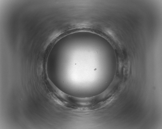 X0000066541261200603241402