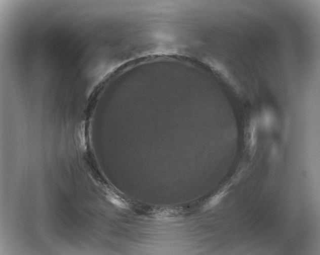 X0000066541262200603241402