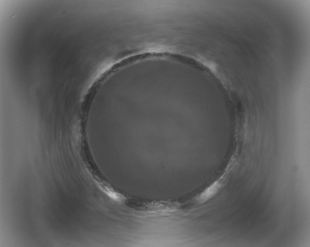 X0000066541263200603241402