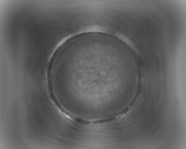 X0000066541264200603241402