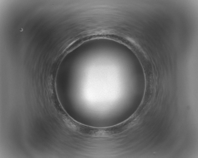 X0000066541265200603241402