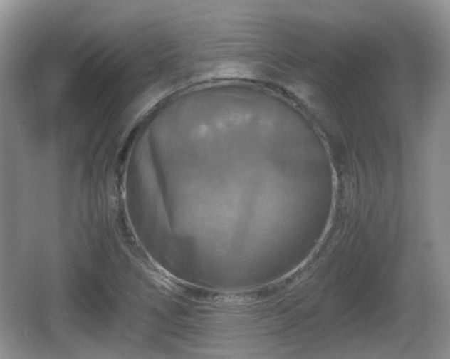 X0000066541266200603241402