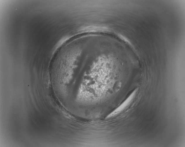 X0000066541267200603241402