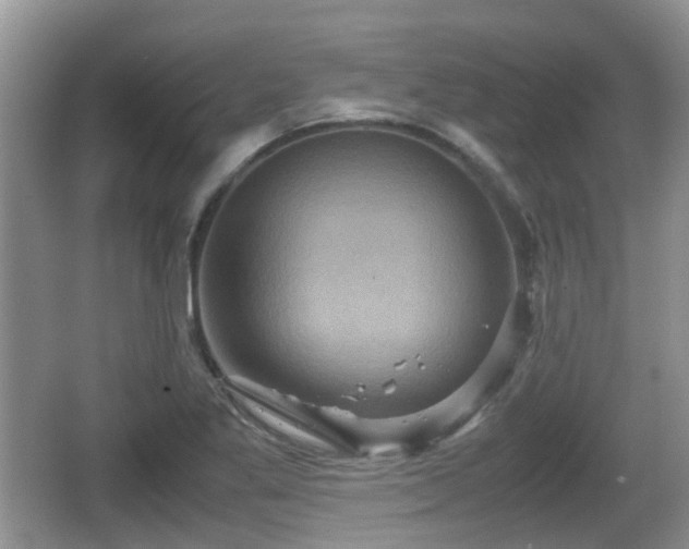 X0000066541269200603241402