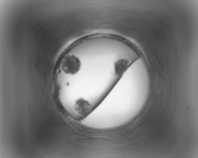 X0000066541271200603241402