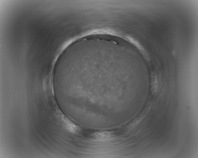 X0000066541272200603241402