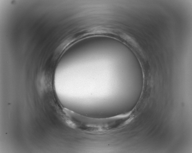 X0000066541273200603241402