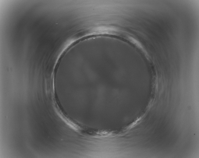 X0000066541275200603241402