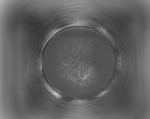 X0000066541276200603241402