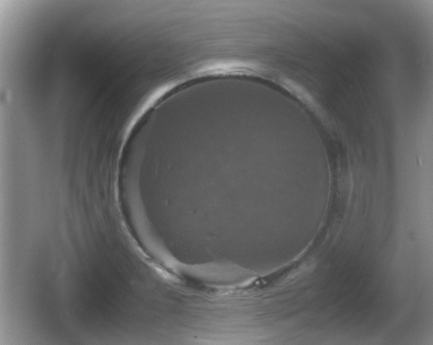 X0000066541277200603241402