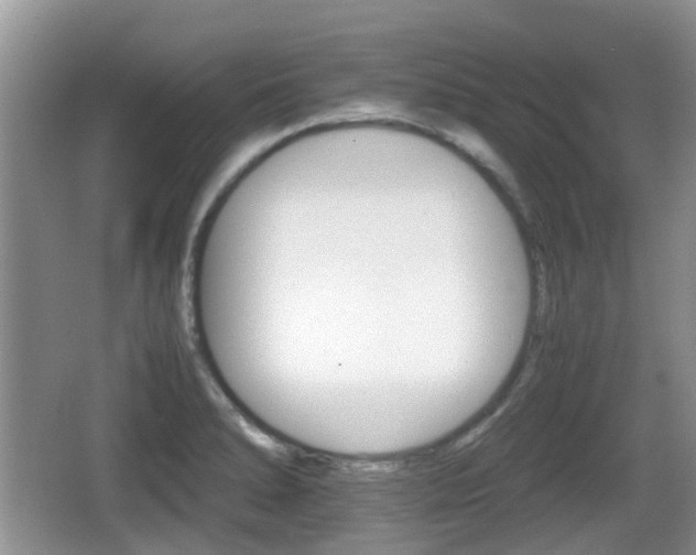 X0000066541278200603241402