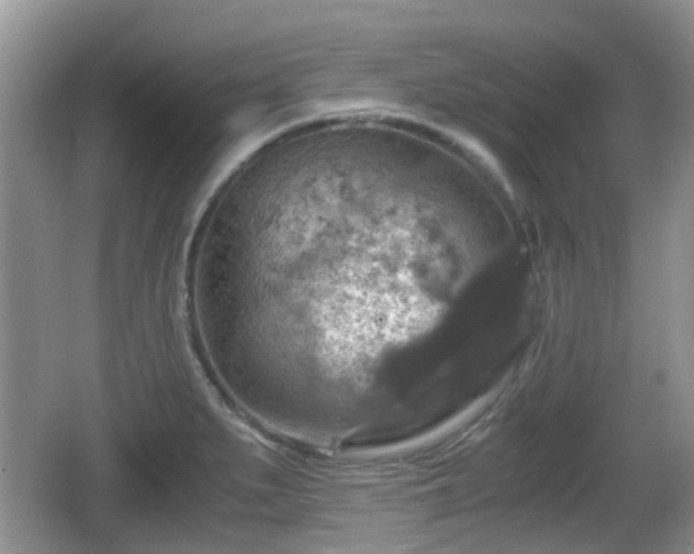 X0000066541279200603241402