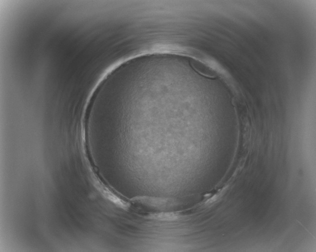 X0000066541280200603241402