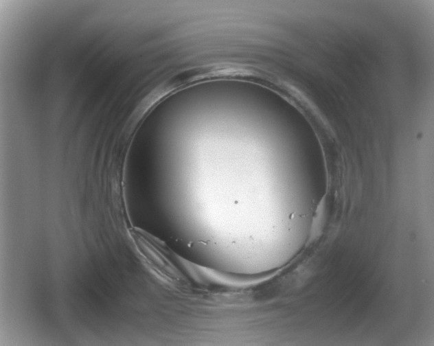 X0000066541281200603241401