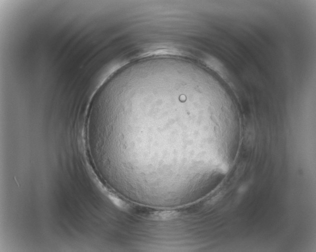 X0000066541282200603241401