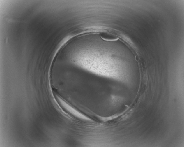 X0000066541283200603241401