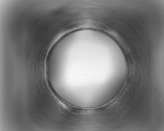 X0000066541286200603241401