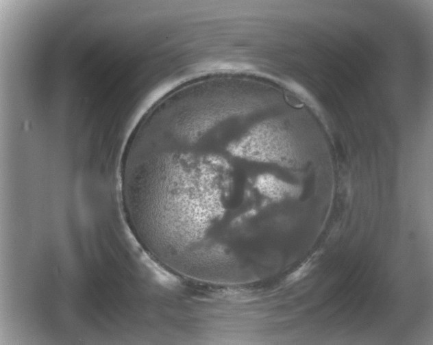 X0000066541287200603241401